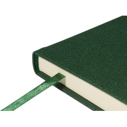 Ежедневник недатированный А5 "Loft", зеленый