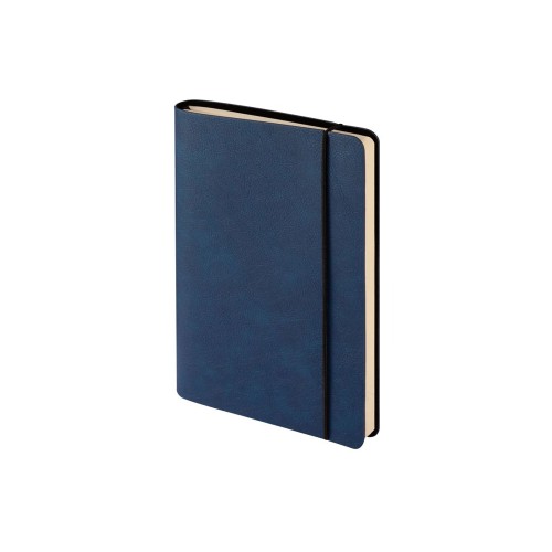 Ежедневник недатированный А5 "Palermo", синий