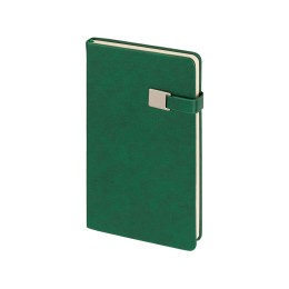 Ежедневник недатированный А5 "Premier", зеленый