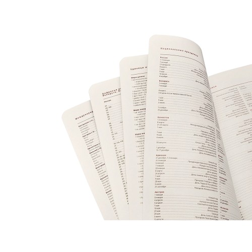 Ежедневник недатированный А5 "Parliament", красный