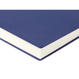 Ежедневник недатированный А5 "Grand", синий