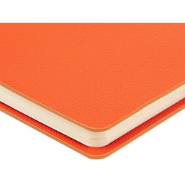 Ежедневник недатированный А5 "Alba", оранжевый