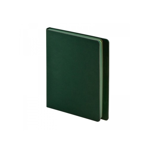 Ежедневник недатированный А5 «Megapolis Magnet», зеленый