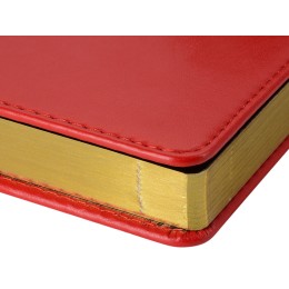 Ежедневник недатированный А5 "Parliament", красный