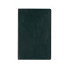 Ежедневник недатированный А5 "Megapolis Nebraska Flex", зеленый с золотым обрезом (Р)