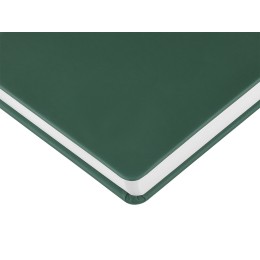 Ежедневник с каменной бумагой недатированный А5 "Carrara", зеленый