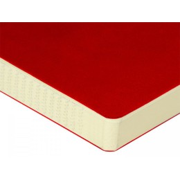 ЕЖЕДНЕВНИК недатированный А5- "MEGAPOLIS FLEX QUATTRO" (КРАСНЫЙ)