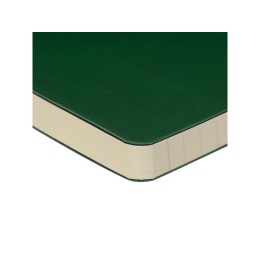 Ежедневник недатированный B5 "Megapolis Flex" (зеленый)