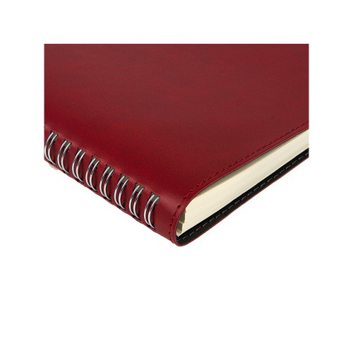 Ежедневник А5 "Tintoretto", бордовый
