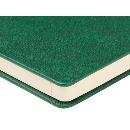 Ежедневник недатированный А5 "Premier", зеленый