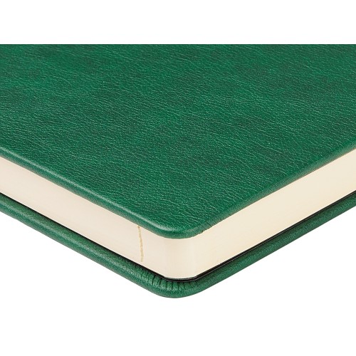 Ежедневник недатированный А5 "Premier", зеленый