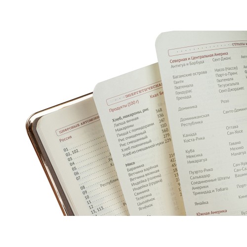 Ежедневник А5 недатированный «Chelsea», серый (золотистый кант и срез)