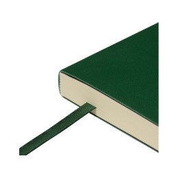 Ежедневник недатированный B5 "Megapolis Flex" (зеленый)