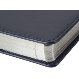 Ежедневник недатированный А5 "Parliament", синий