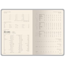 Ежедневник А5 "Megapolis Color New" soft-touch, серый