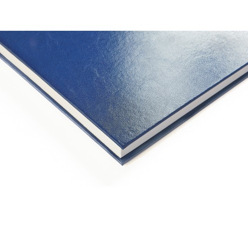 Ежедневник недатированный А5 «Ideal New», синий