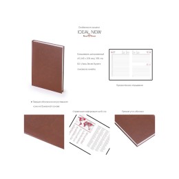 Ежедневник недатированный А5 «Ideal New», синий