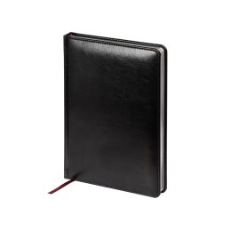 Ежедневник недатированный А5 "Sidney Nebraska", черный (серебряный обрез)