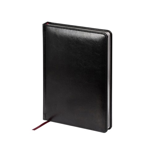 Ежедневник недатированный А5 "Sidney Nebraska", черный (серебряный обрез)