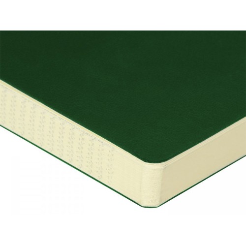 ЕЖЕДНЕВНИК недатированный А5- "MEGAPOLIS FLEX QUATTRO" (ЗЕЛЕНЫЙ)