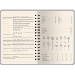 Ежедневник А5 "Tintoretto", серый