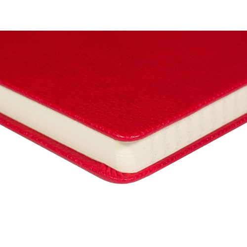 Ежедневник недатированный А5 "Loft", красный