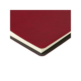 Ежедневник А5 "Tintoretto", бордовый