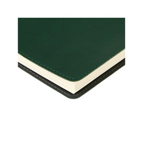 Ежедневник А5 "Tintoretto", зеленый