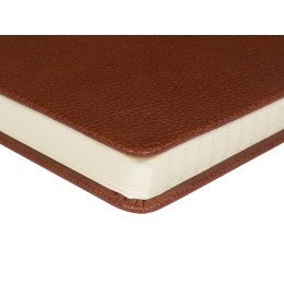 Ежедневник недатированный А5 "Loft", коричневый