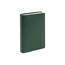 Ежедневник недатированный А5 "Alba", зеленый