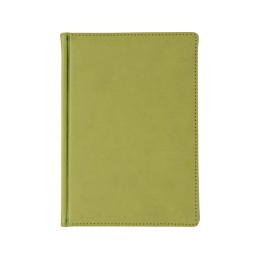 Ежедневник недатированный А5 «Velvet», оливковый