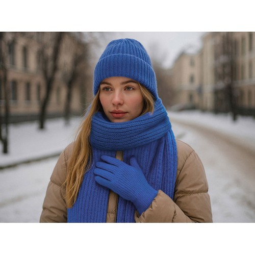 Подарочный набор  «Nordend», синий классический