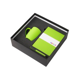 Подарочный набор c блокнотом C2, ручкой и кружкой, зеленое яблоко