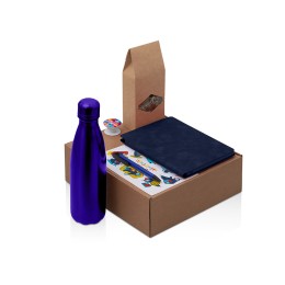 Подарочный набор с термобутылкой, блокнотом, ручкой и чаем, синий