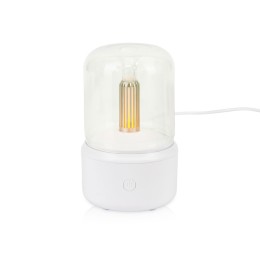 Подарочный набор «Re:y. Grow» с пледом, увлажнителем и набором для выращивания