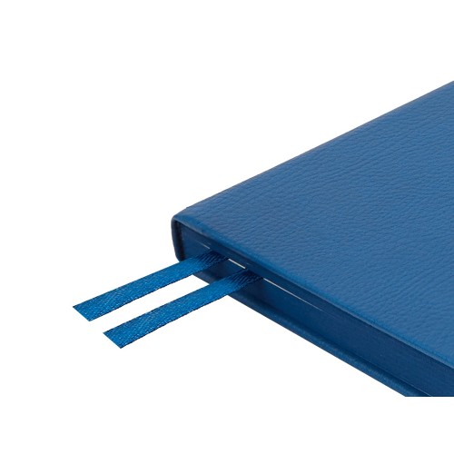 Ежедневник А5 датированный "Megapolis Nappa" на 2026, синий