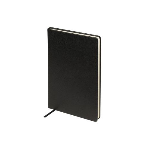 Ежедневник А5 датированный "Megapolis Loft" на 2026, черный