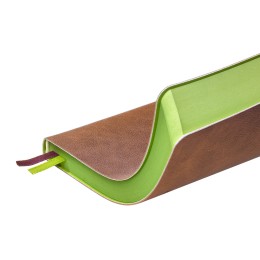 Ежедневник А5 датированный "Boston" 2027, коричневый с салатовым обрезом