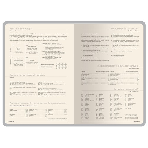 Ежедневник А5 датированный "Megapolis Color" 2026, серый