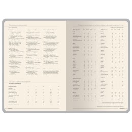 Ежедневник А5 датированный "Megapolis Color" 2026, серый