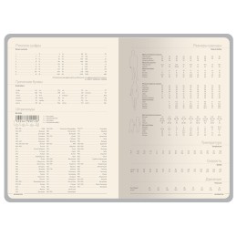 Ежедневник А5 датированный "Megapolis Color" 2026, серый