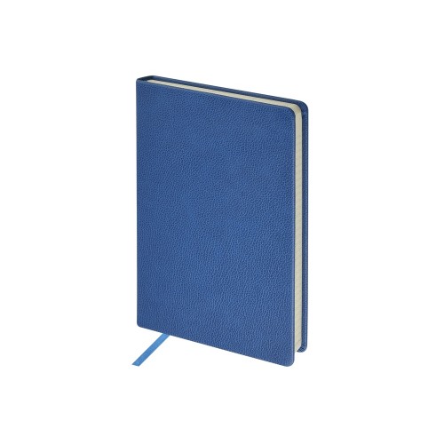 Ежедневник А5 датированный "Megapolis Loft" на 2026, синий