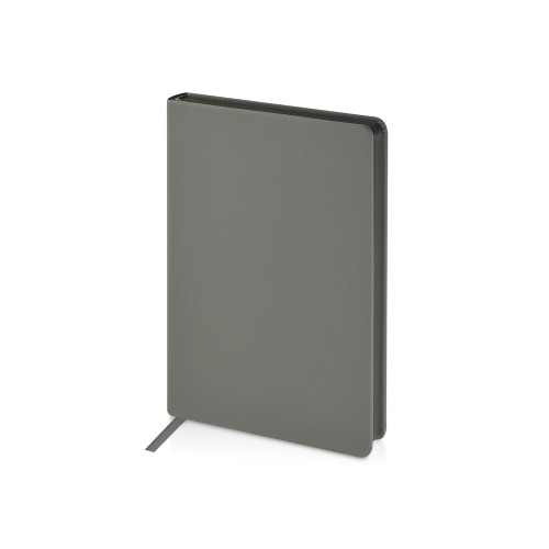 Ежедневник А5 датированный "Megapolis Color" 2026, серый