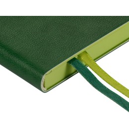 Ежедневник А5 датированный "Boston" 2027, зеленый с салатовым обрезом