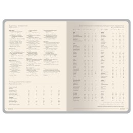 Ежедневник А5 датированный "Megapolis Color" 2026, красный