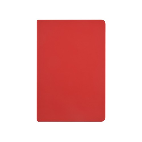 Ежедневник А5 датированный "Megapolis Color" 2026, красный