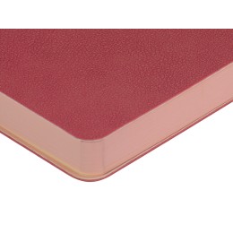 Ежедневник А5 датированный "Boston" 2027, розовый