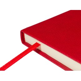 Ежедневник А5 датированный "Megapolis Loft" на 2026, красный