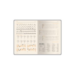 Ежедневник А5 датированный "Boston" 2027, оранжевый с серым обрезом