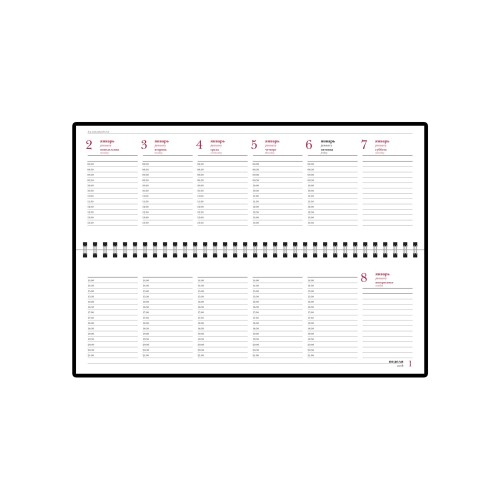 Планинг датированный «Velvet» 2025, черный